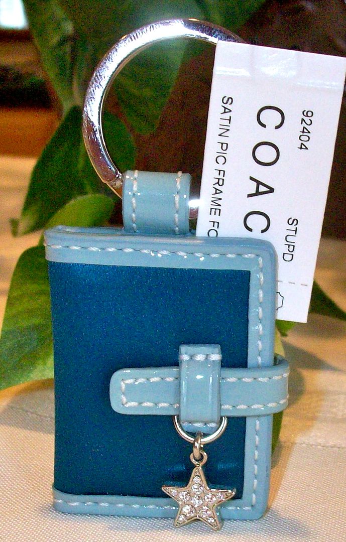 92404 satin picture frame fob turquoise pool