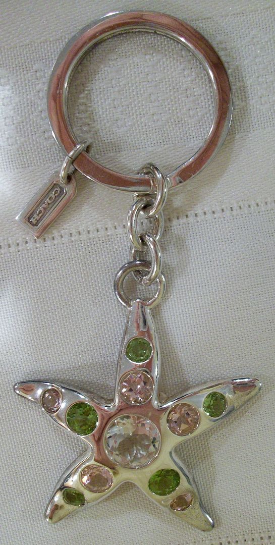 1626 jewel starfish keychain front