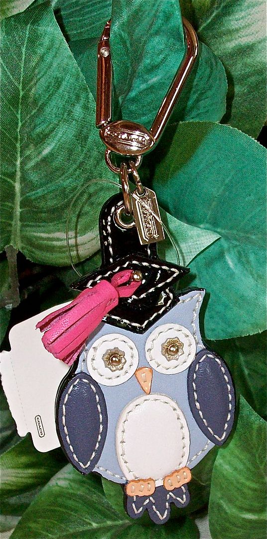 93164 leather graduation owl charm front