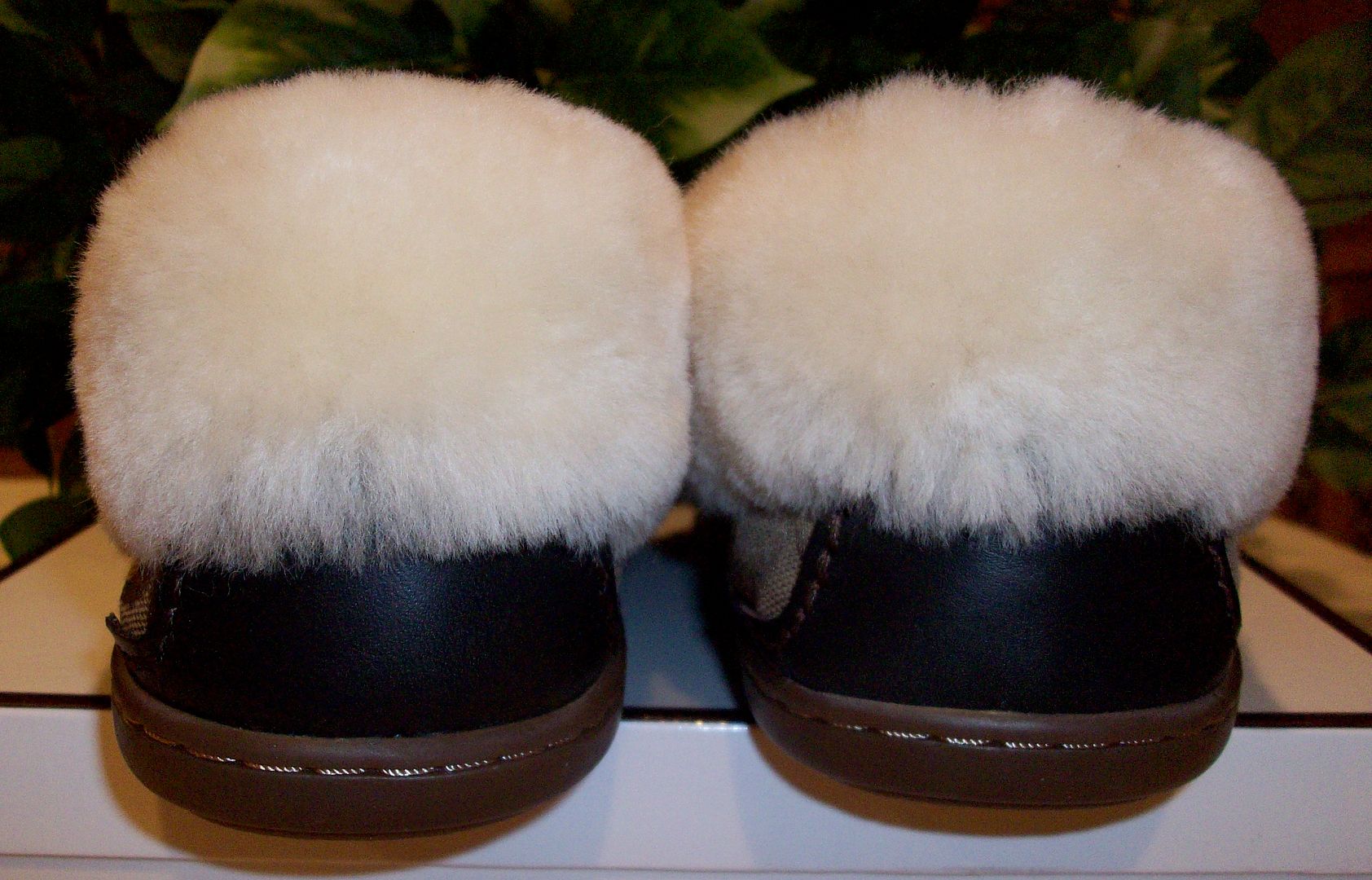 fiona signature shearling slippers khaki heels back