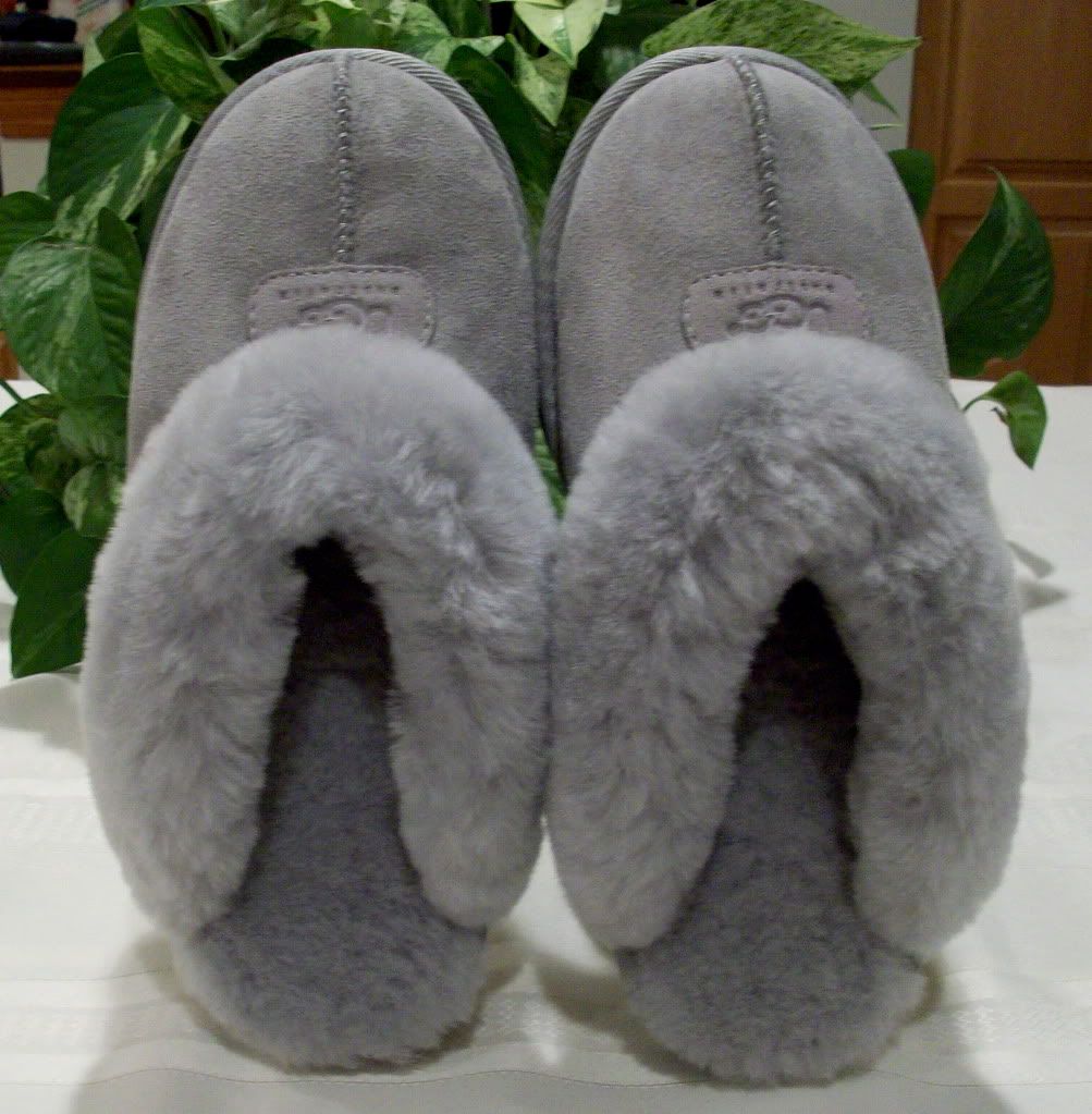 ugg coquette gray front