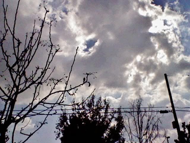 cloudy day photo: South Gate California HNI_0088.jpg