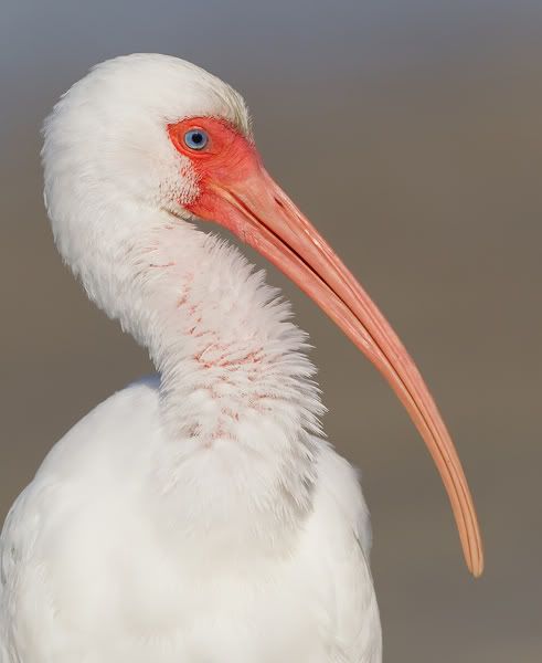 Fotografie