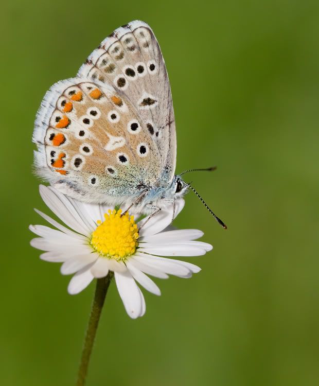 Fotografie