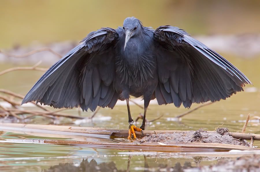 Fotografie