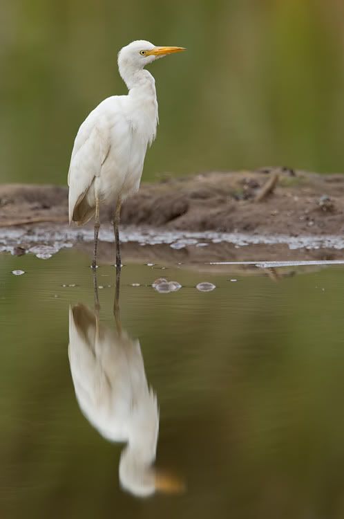 Fotografie