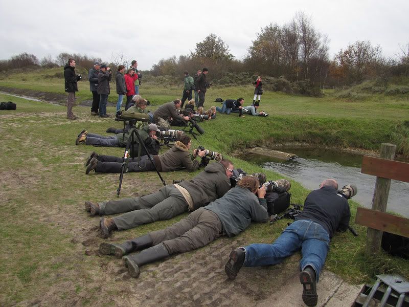 Fotografie