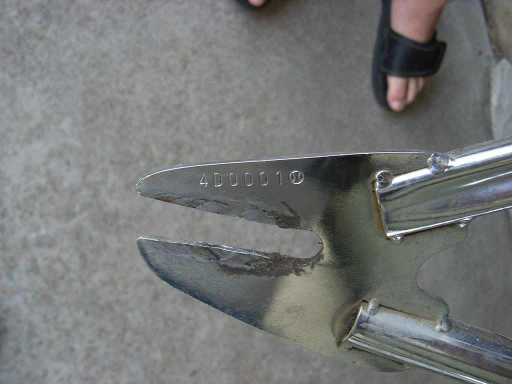 http://i901.photobucket.com/albums/ac213/kerm_01/Big%20D/RIMG0991.jpg