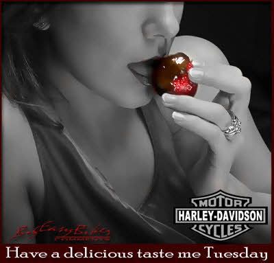 tasty tuesday Pictures, Images and Photos