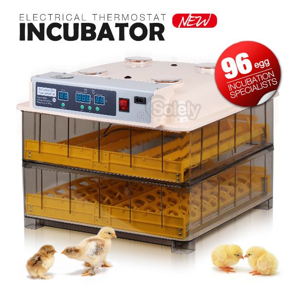 chicken incubator chicken incubator incubator eggs videos incubator 