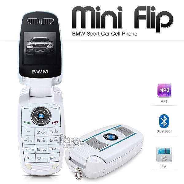 Bmw mini flip key