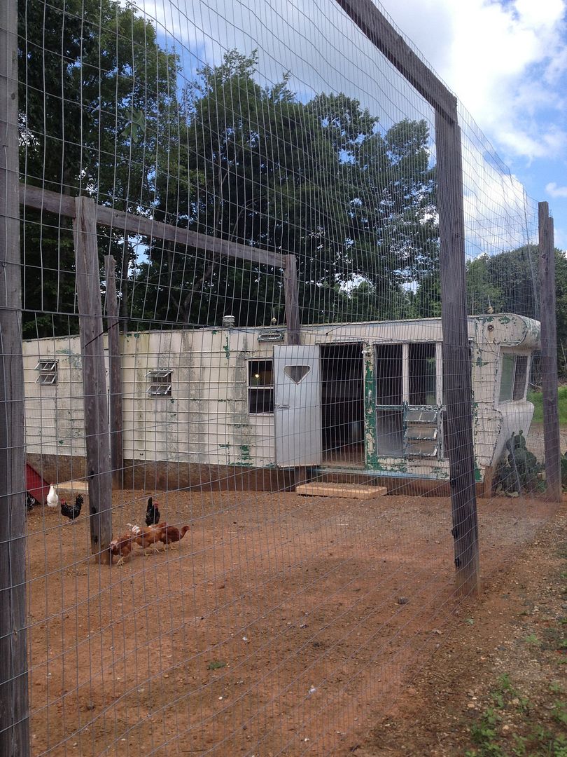 A Redneck chicken coop I saw today. (Pictures) Survivalist Forum
