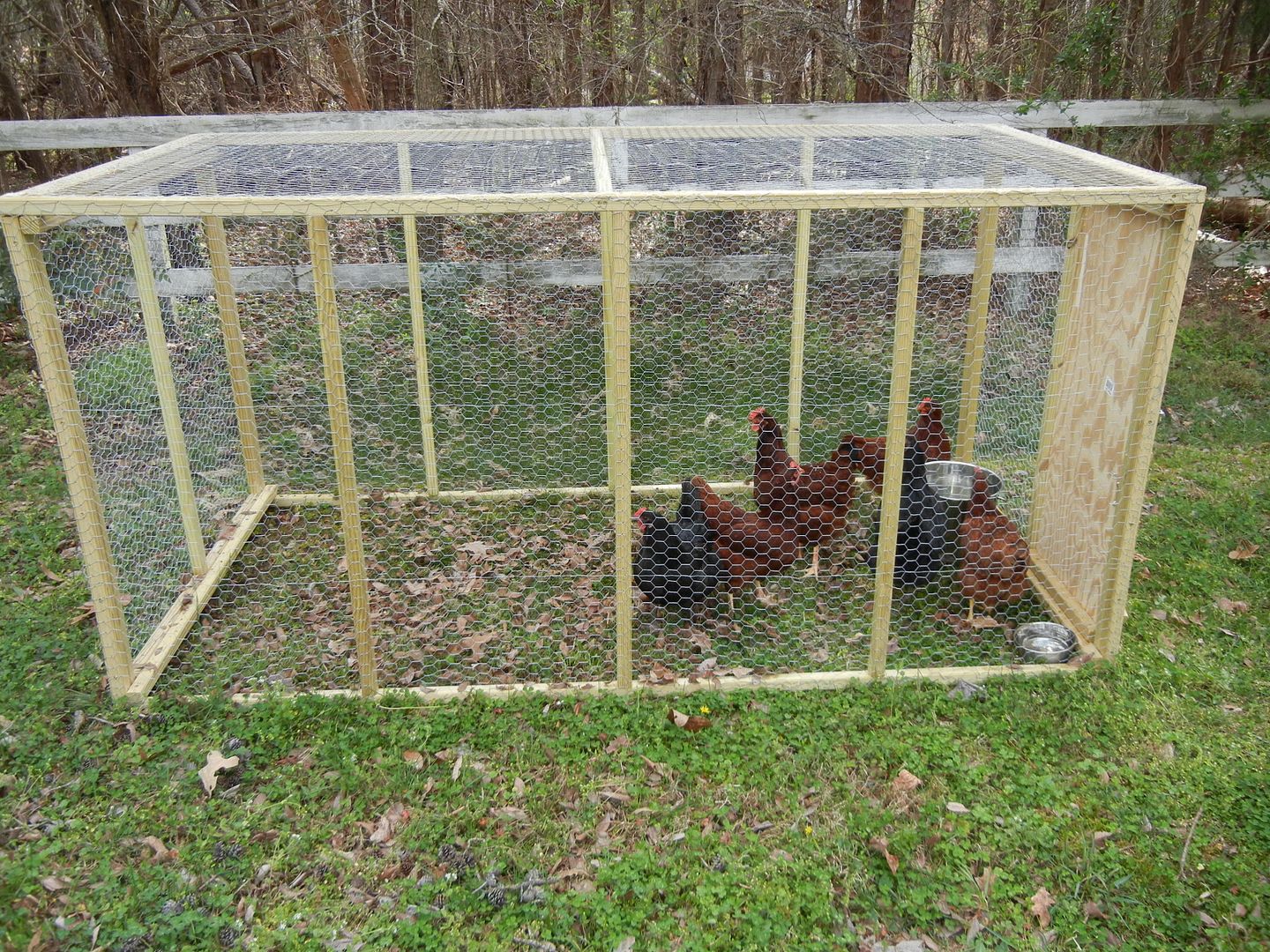 My new light weight moveable chicken cage. (Pictures) Survivalist Forum