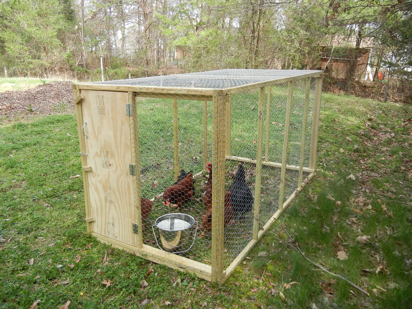 My new light weight moveable chicken cage. (Pictures) Survivalist Forum