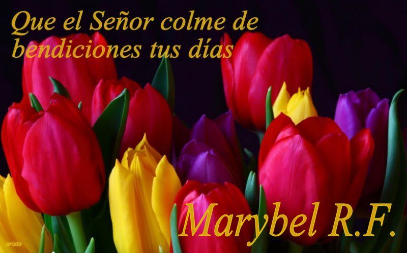 OfreFondo5-2011tulipanes1marybelrf.jpg 