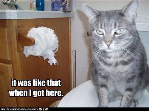 funny-pictures-cat-denies-ripping-t.jpg