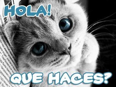 hola.jpg hola! image by chingunga