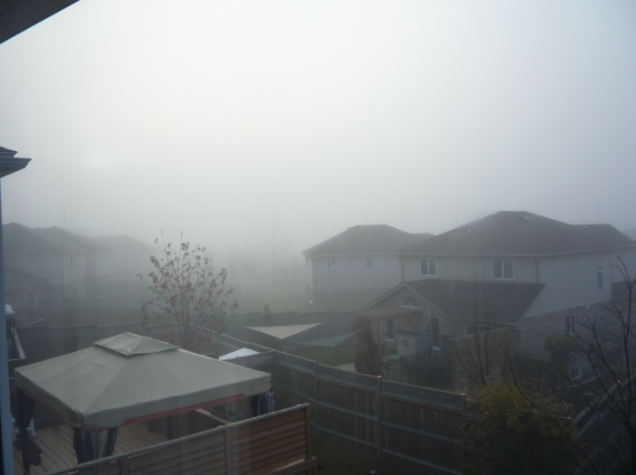 fog2.png