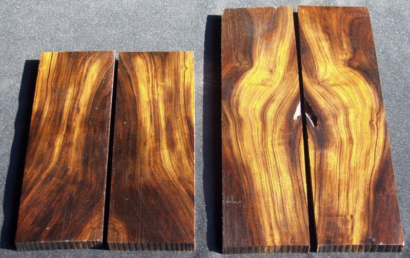 AZ Desert Ironwood Ebony & Cocobolo Scales