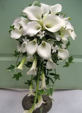 White_Calla_Cascade_Bouquet.jpg