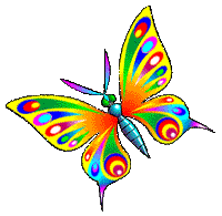 Moving butterfly Pictures, Images and Photos