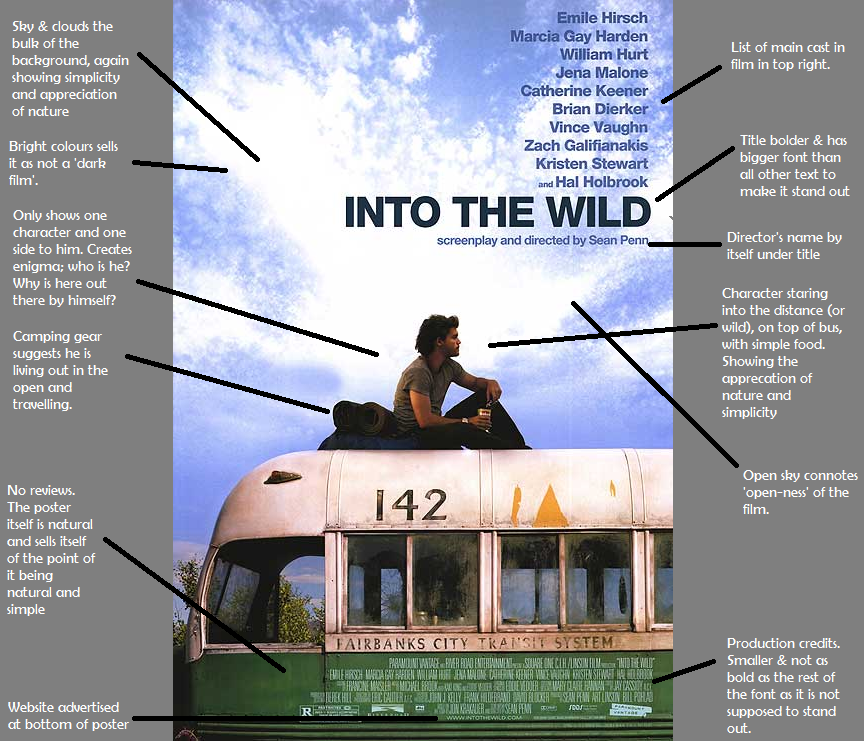Into the wild analysis essay