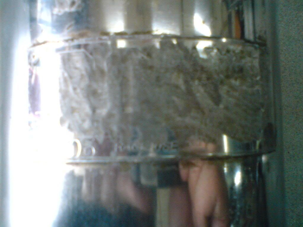 DSC02168.jpg