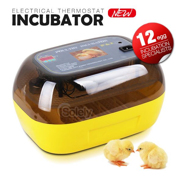 New 12 Egg Incubator Fully Automatic Turning Poultry Chicken Quail Duck GOOSE