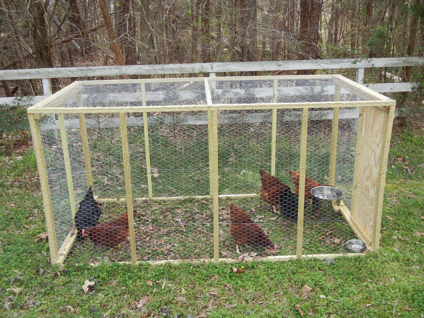 My new light weight moveable chicken cage. (Pictures) | Survivalist Forum