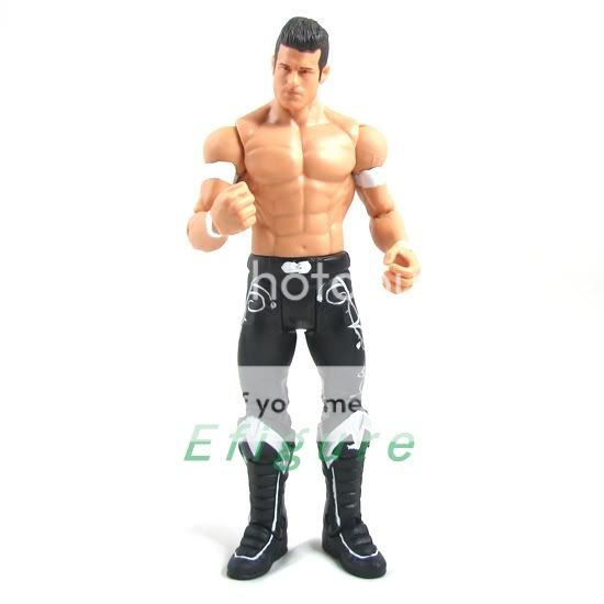 WWE Wrestling Mattel 2010 Basics Series 3 Evan Bourne Figure